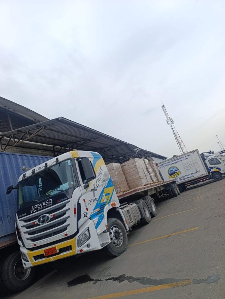 Tráiler con carga pesada